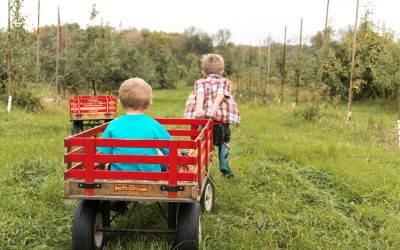 Why and How to Add “Heavy Work” Into Your Child’s Day