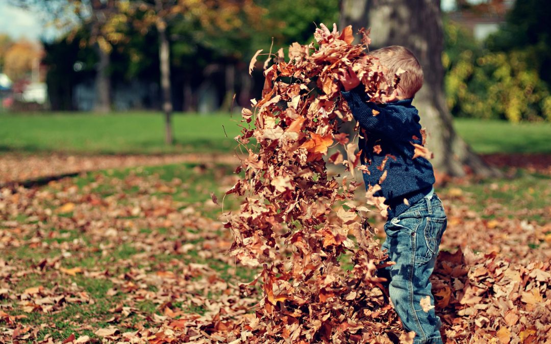 Sensory Play Ideas for the Fall